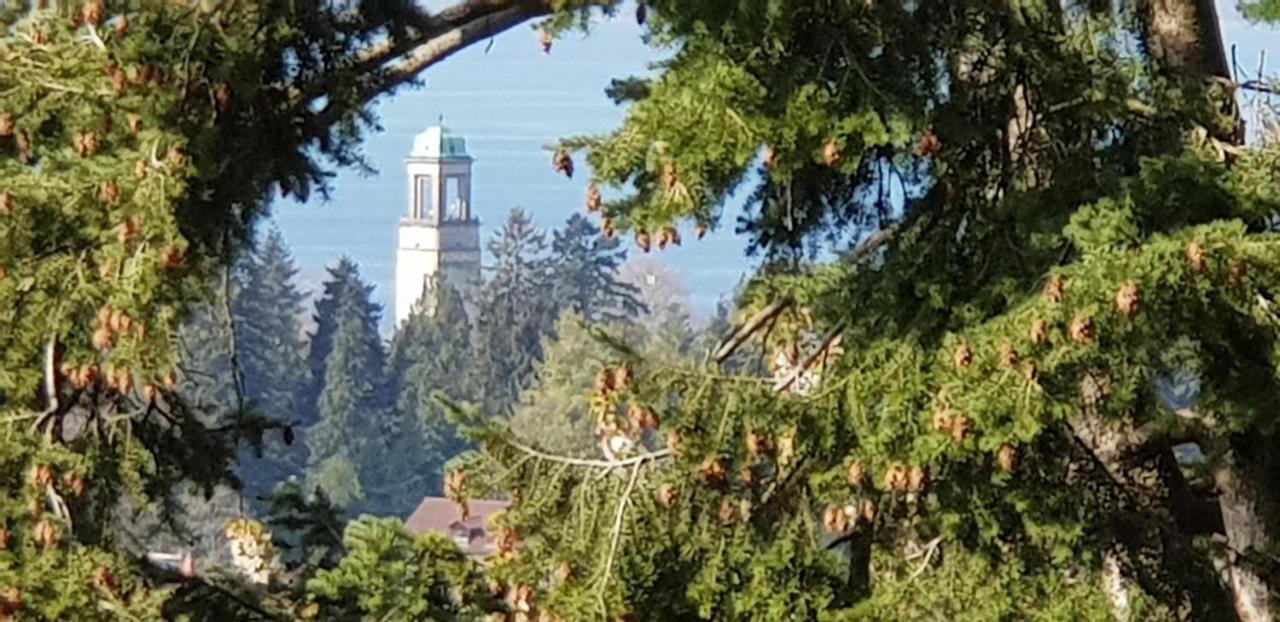 דירות בודולץ Alpenblick 3 מראה חיצוני תמונה